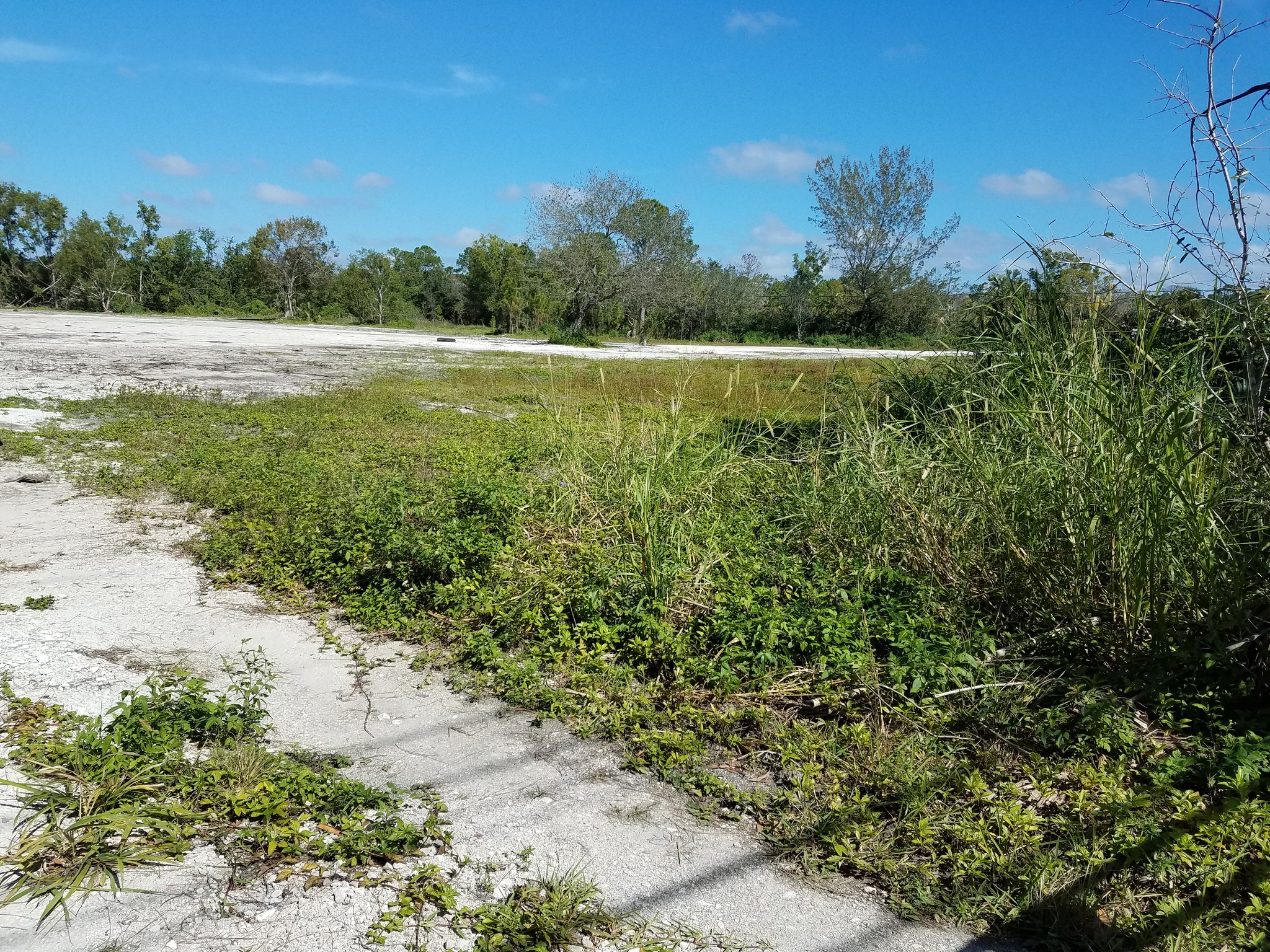 Indiantown Rd, Jupiter, FL for lease Primary Photo- Image 1 of 9