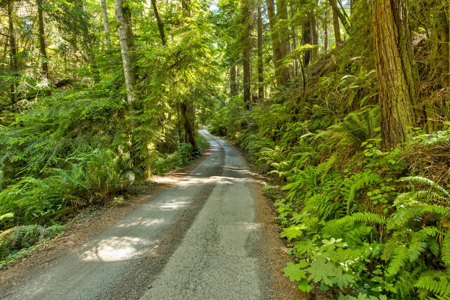 33170 Frog Pond rd, Little River, CA à vendre - Photo du bâtiment - Image 2 de 28