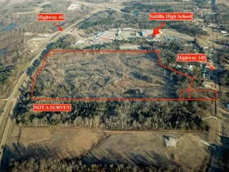 More details for US Highway 45, Saltillo, MS - Land for Sale