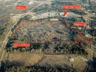 Plus de détails pour US Highway 45, Saltillo, MS - Terrain à vendre