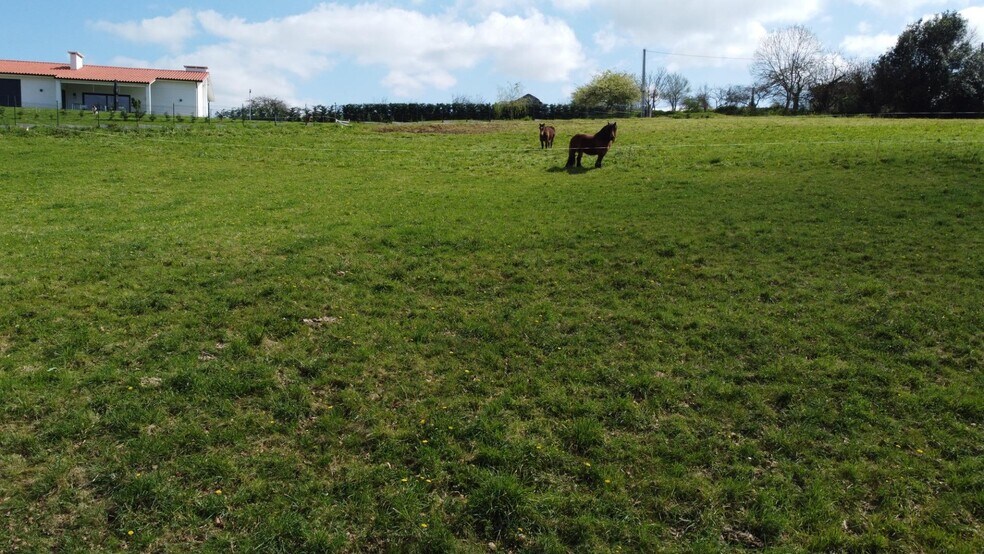 Marinas, Las Regueras, Asturias à vendre - Photo du bâtiment - Image 3 de 30