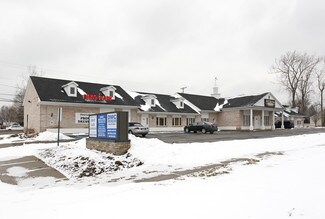 Plus de détails pour 26221 Southfield Rd, Lathrup Village, MI - Bureau/Médical à louer