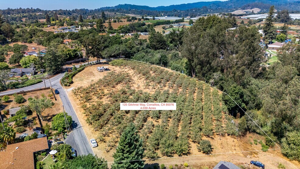 125 Gilchrist Way, Watsonville, CA à vendre - Plan cadastral - Image 1 de 1