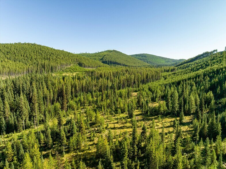 Nhn Logan Creek Road, Kila, MT à vendre - Photo du bâtiment - Image 2 de 97