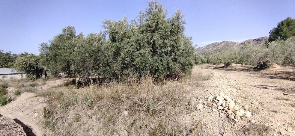 Land in Calasparra, Murcia for sale - Site Plan - Image 1 of 4