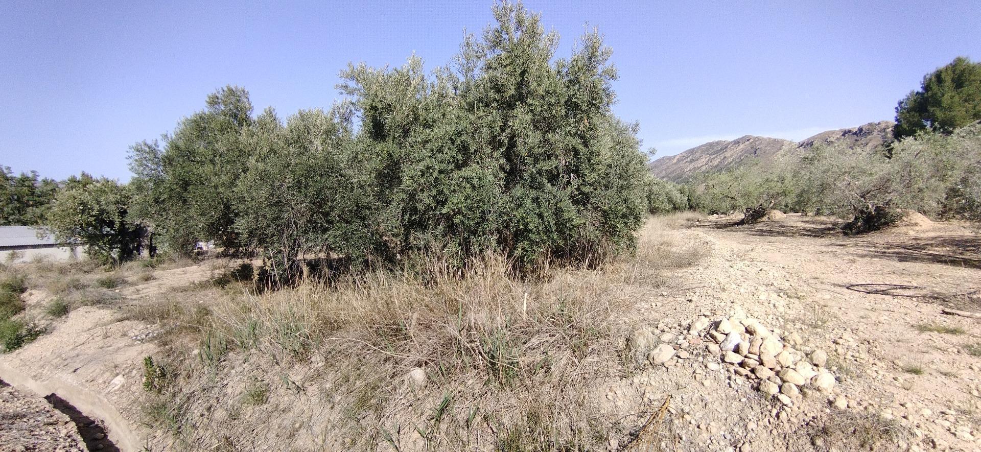Land in Calasparra, Murcia for sale Site Plan- Image 1 of 5