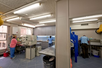 20 Collins St, Melbourne for lease Interior Photo- Image 1 of 5