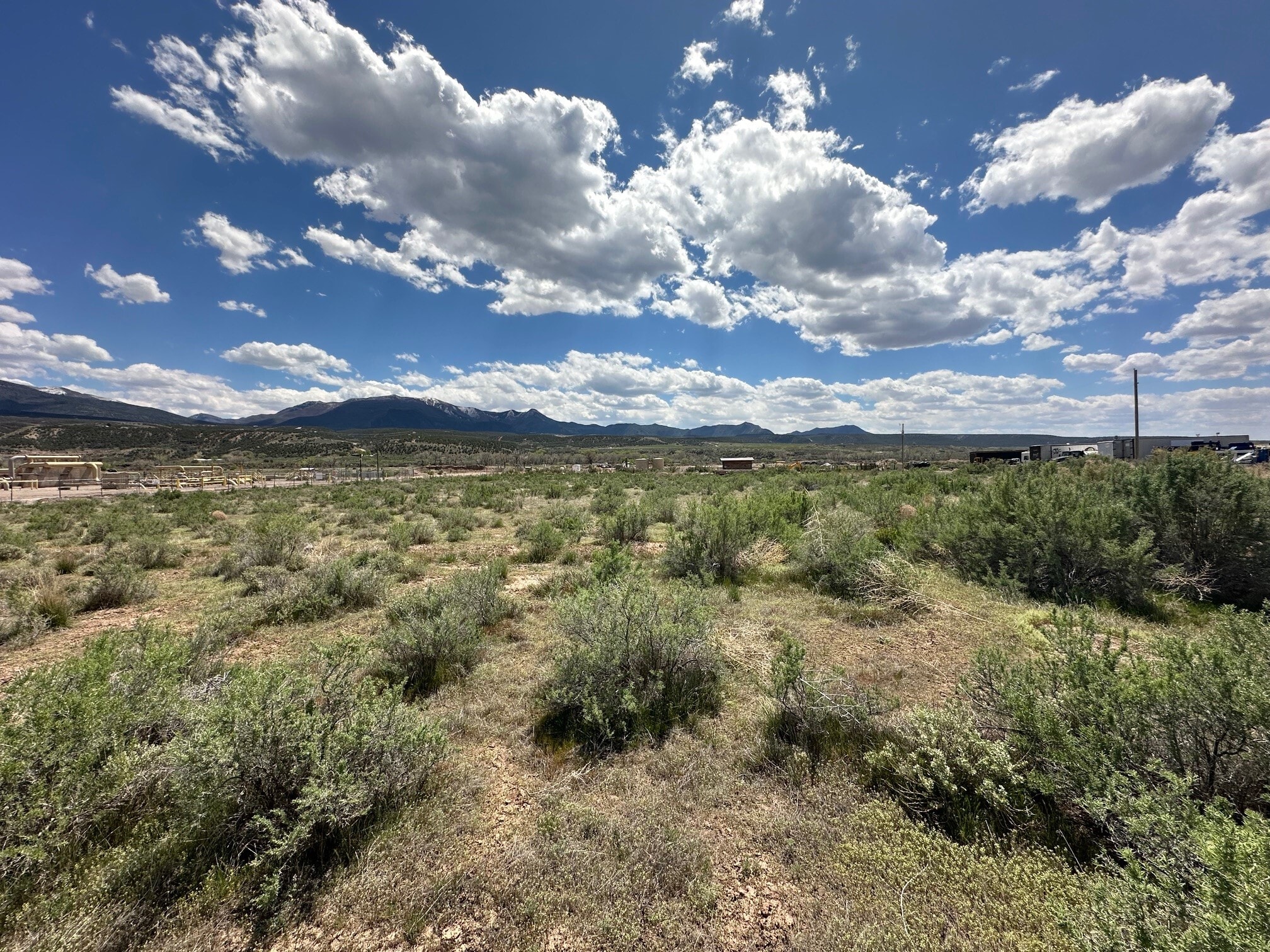 260 Buds -1, Parachute, CO for sale Other- Image 1 of 7