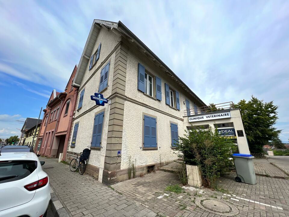 16 Rue De La République, Hoenheim for lease Building Photo- Image 1 of 13