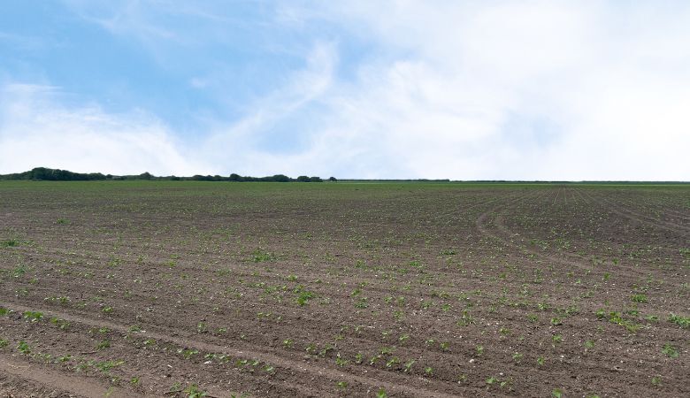 CR 48 52.085 AC, Robstown, TX à vendre - Photo principale - Image 1 de 4