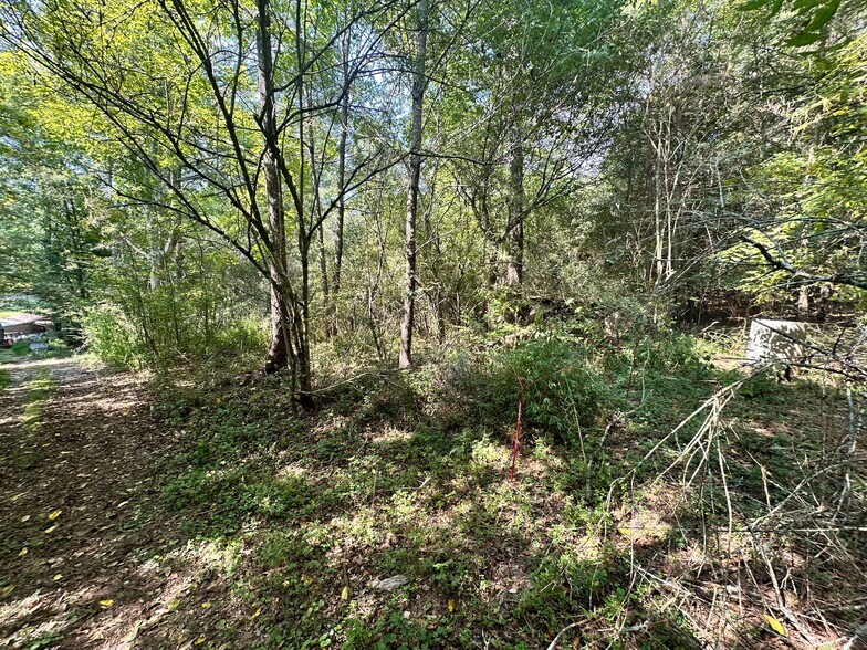 00 Frix Rd, Cumming, GA à vendre - Autre - Image 3 de 39