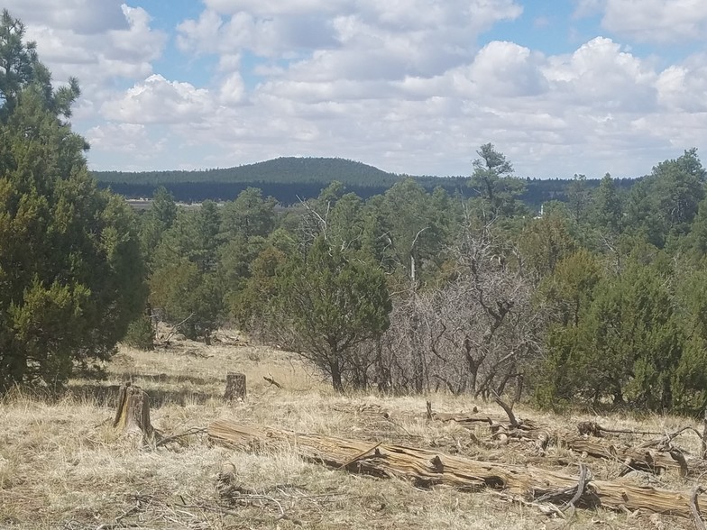 Forest Canyon Ests, Williams, AZ à vendre - Autre - Image 1 de 1