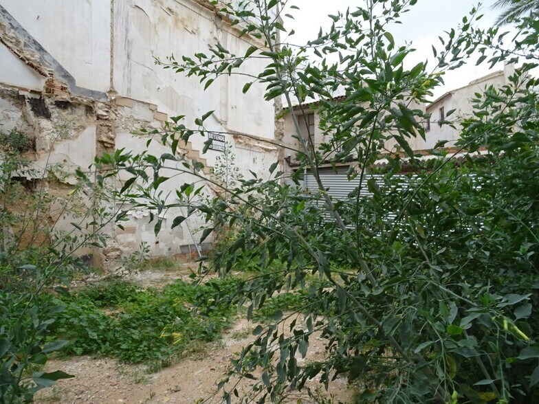 Land in Aspe, Alicante for sale - Primary Photo - Image 2 of 4