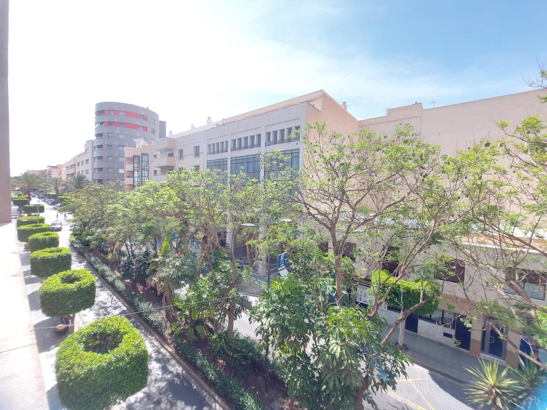 Retail in El Ejido, Almería for lease Building Photo- Image 1 of 39