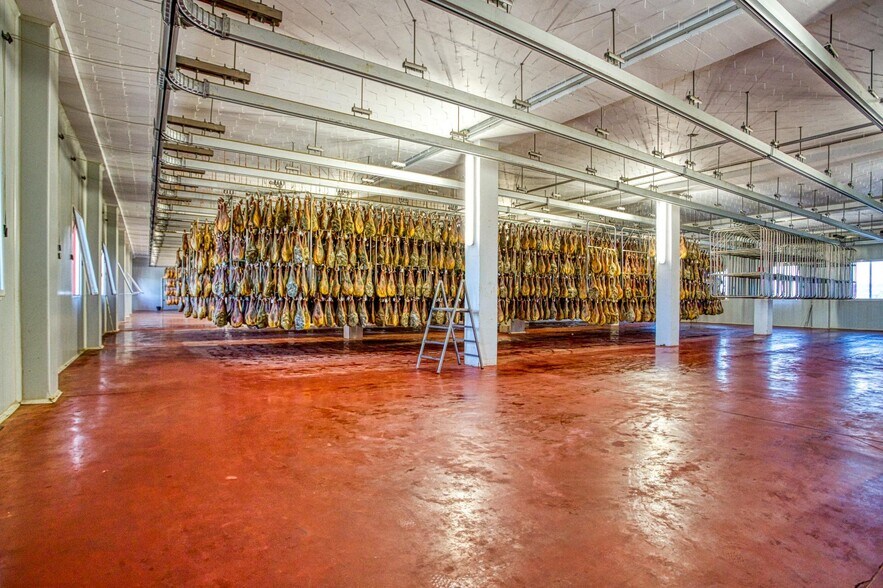 Industrial in Ávila, Ávila for sale - Interior Photo - Image 3 of 31