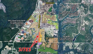 Plus de détails pour 13193 Highway 331 Hwy, Freeport, FL - Terrain à vendre