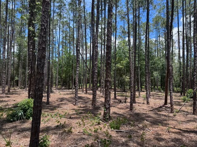Plus de détails pour 18517 Livingston Ave, Lutz, FL - Terrain à vendre