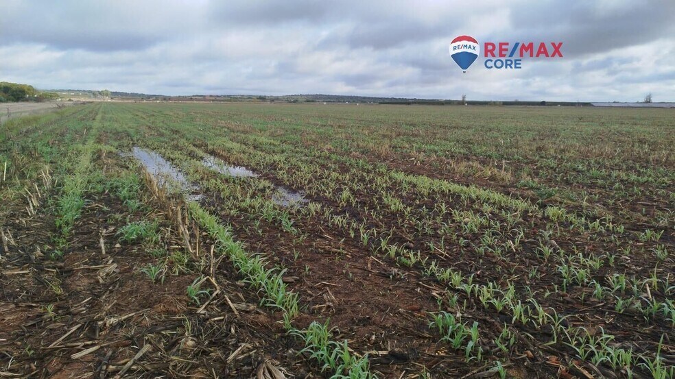 Land in Mérida, Badajoz for sale - Building Photo - Image 1 of 5