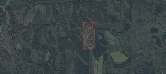 Plus de détails pour Talbot County Tract 32009B, Woodland, GA - Terrain à vendre