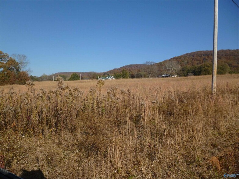 5504 Martin Ave NE, Fort Payne, AL à vendre - Photo du bâtiment - Image 3 de 9