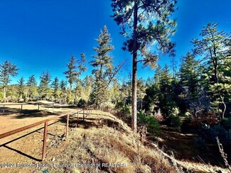 More details for 523 Resort Dr, Ruidoso, NM - Land for Sale