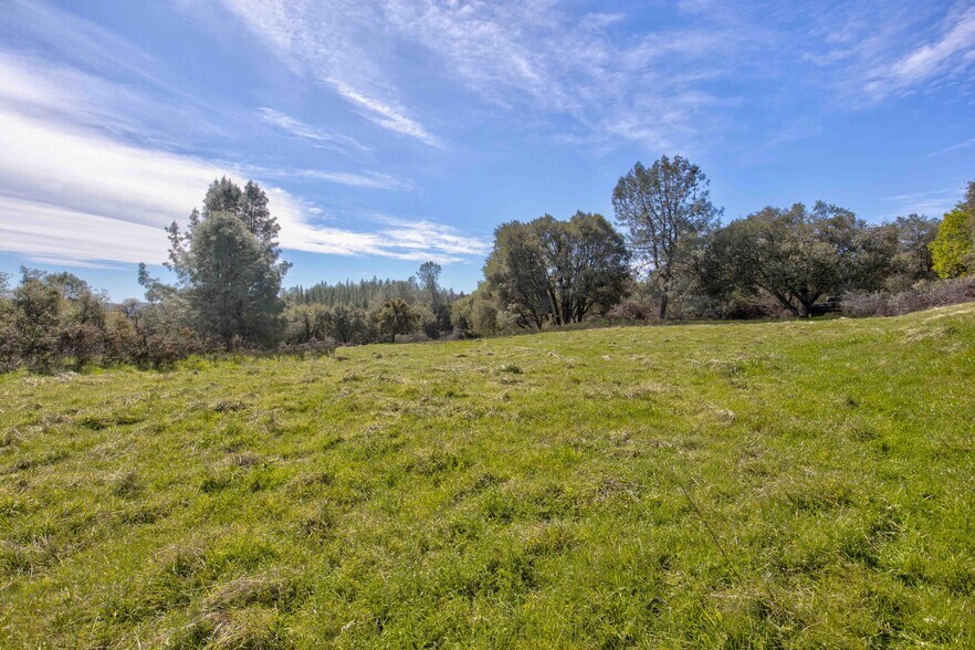 18800 Charleston Rd, Volcano, CA à vendre - Photo du bâtiment - Image 2 de 47
