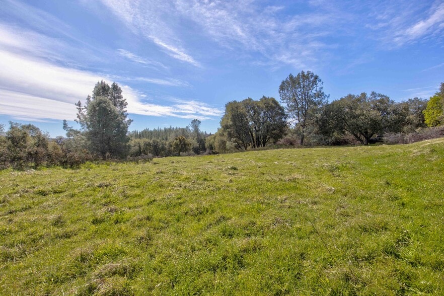 18800 Charleston Rd, Volcano, CA à vendre - Photo du bâtiment - Image 2 de 47