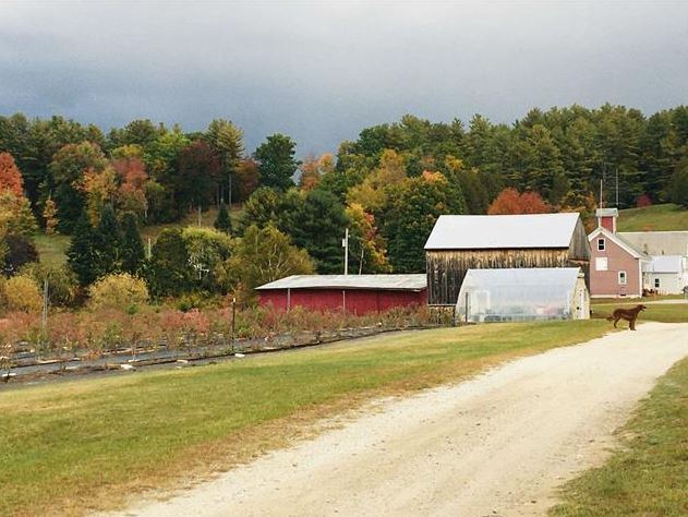 2636 Vt Route 3, Pittsford, VT à vendre - Photo du bâtiment - Image 1 de 1