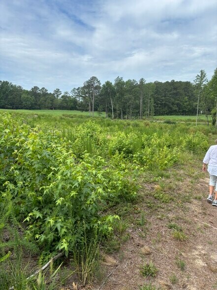 Mays Crossroads Rd, Youngsville, NC for sale - Building Photo - Image 2 of 10