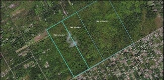 More details for 0 Ainaloa Blvd, Kurtistown, HI - Land for Sale