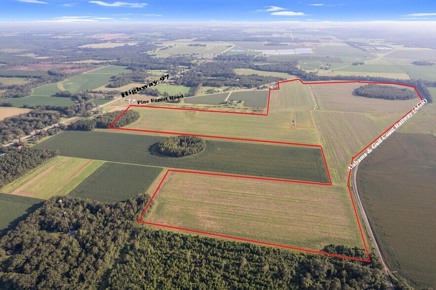 5700 Pine Forest Rd, Walnut Hill, FL for sale - Primary Photo - Image 1 of 43