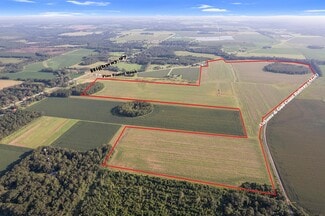 More details for 5700 Pine Forest Rd, Walnut Hill, FL - Land for Sale