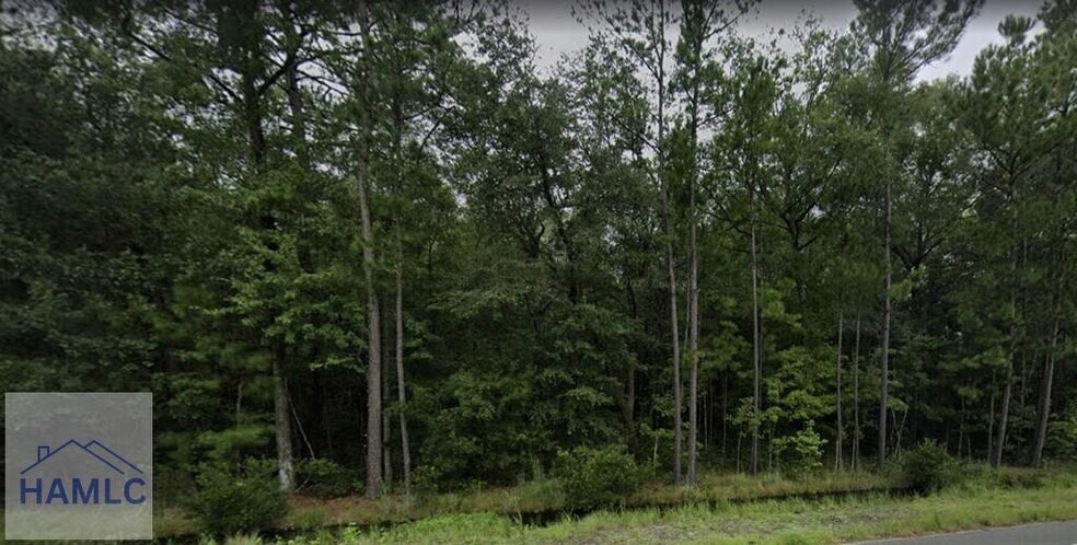 9.33 AC East Oglethorpe Highway, Flemington, GA à vendre - Photo du bâtiment - Image 2 de 2