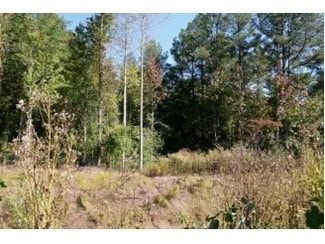More details for 4530 Klondike Rd, Lithonia, GA - Land for Sale