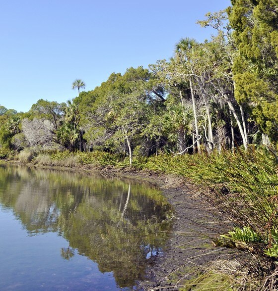 Cortez Blvd & Marys Fish Camp Rd, Weeki Wachee, FL à vendre - Autre - Image 2 de 15