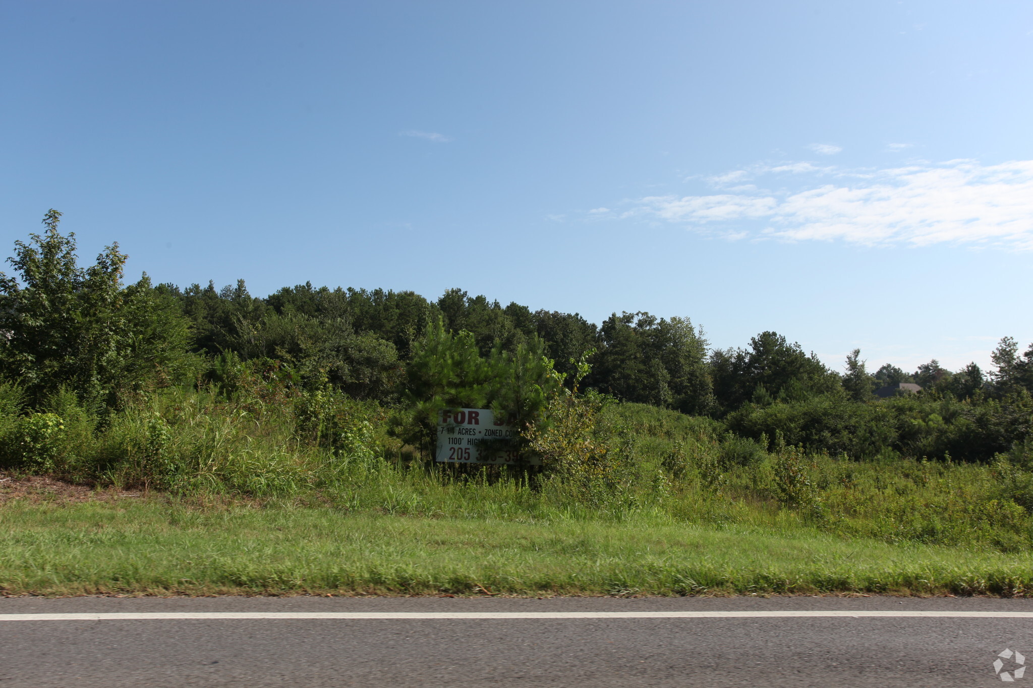 Hwy 78, Pell City, AL for sale Primary Photo- Image 1 of 1