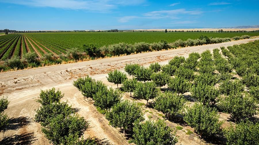 6470 County Road 99, Dunnigan, CA for sale - Primary Photo - Image 1 of 7