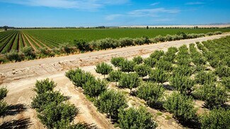 Plus de détails pour 6470 County Road 99, Dunnigan, CA - Terrain à vendre