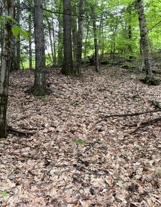 Plus de détails pour 225 Washington Rd, Bradford, NH - Terrain à vendre