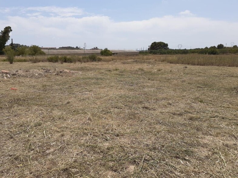 Land in La Secuita, Tarragona for sale - Primary Photo - Image 1 of 4