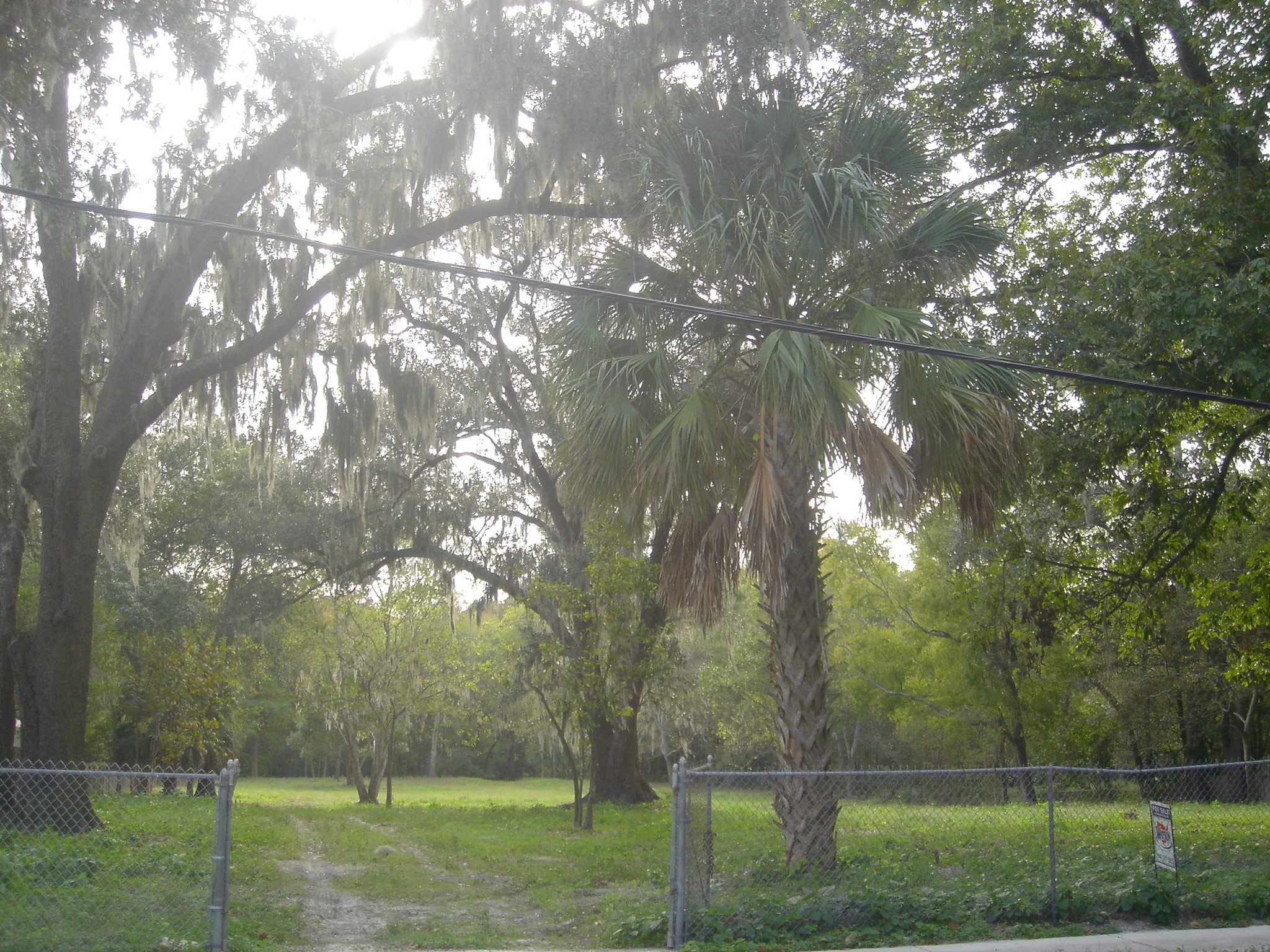 6336 Park St, Jacksonville, FL for sale Other- Image 1 of 4