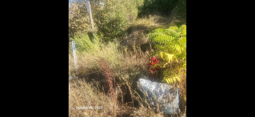 Motherlode Drive Dr, Shingle Springs, CA à vendre - Photo du bâtiment - Image 3 de 10