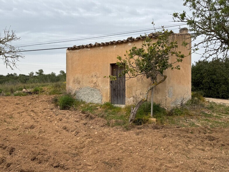 Camí Vel de Porreres, 2, Algaida, Islas Baleares à vendre - Photo du bâtiment - Image 3 de 36