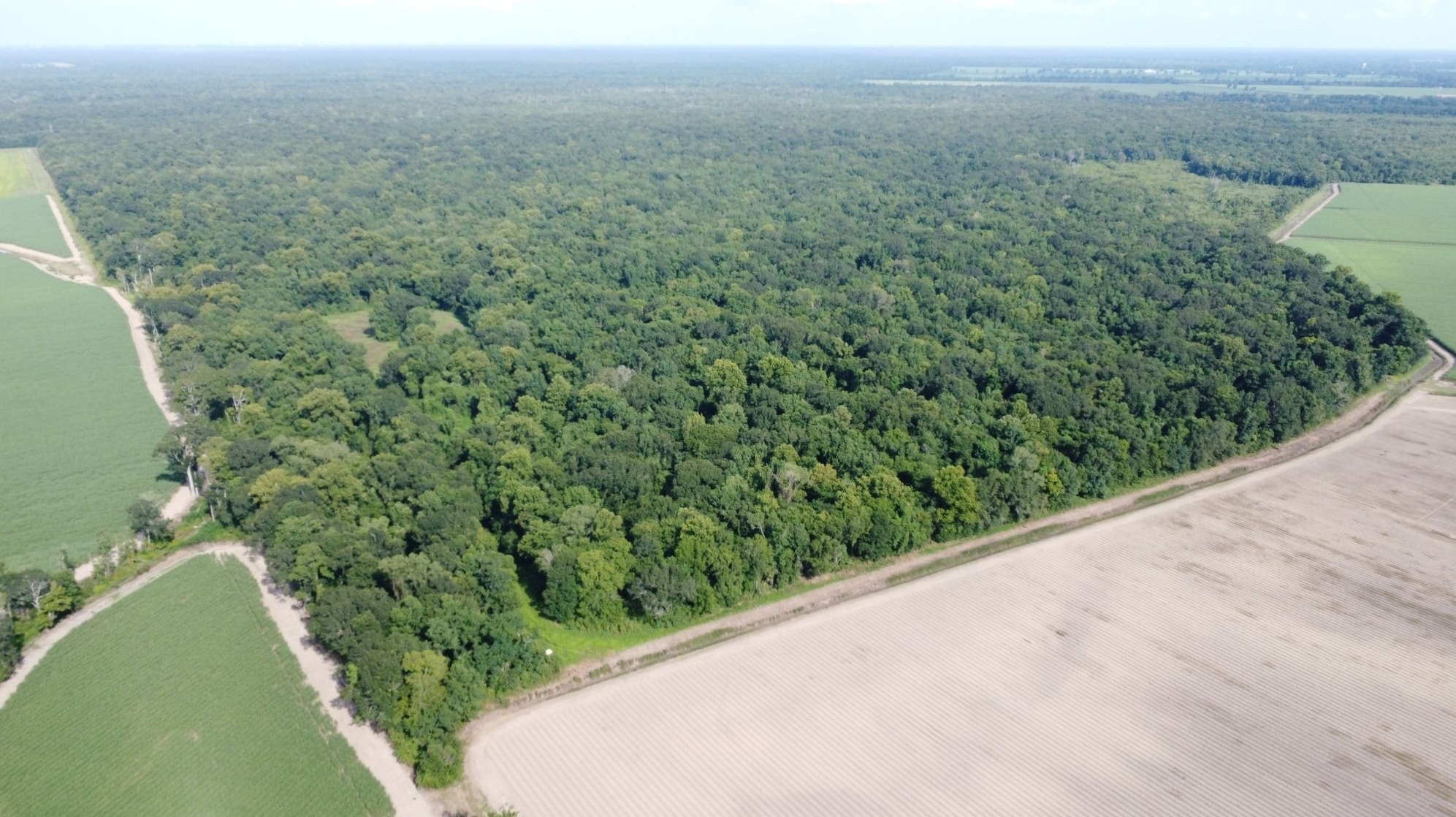 Highway 411, Port Allen, LA for sale Primary Photo- Image 1 of 2
