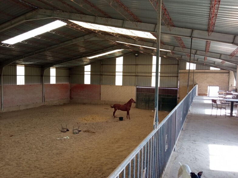 Industrial in Alcazarén for sale - Building Photo - Image 3 of 29
