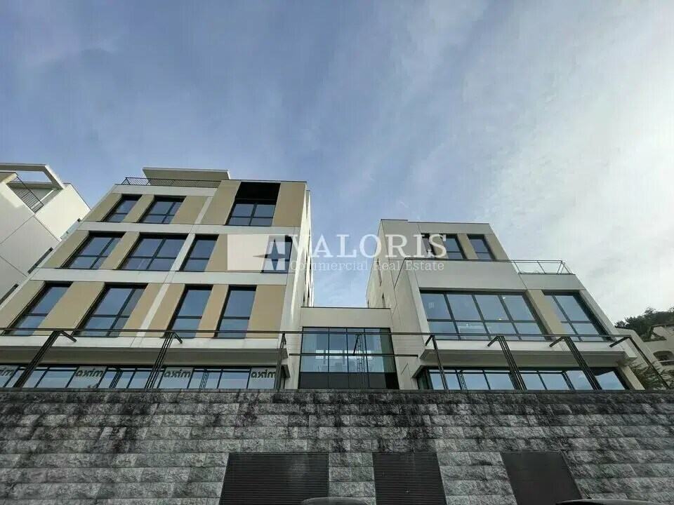 Office in Lyon for lease Building Photo- Image 1 of 11