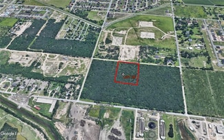 More details for 140 Hall Acres Rd, San Juan, TX - Land for Sale