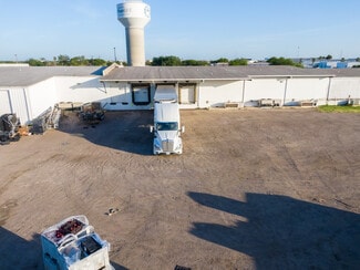 More details for 9010 S Cage Blvd, Pharr, TX - Industrial for Sale