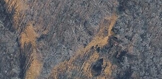 Plus de détails pour 9546 Olin Yarborough Rd, Indian Land, SC - Terrain à vendre