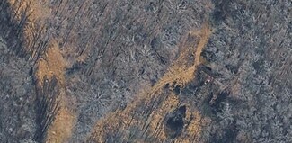 Plus de détails pour 9546 Olin Yarborough Rd, Indian Land, SC - Terrain à vendre